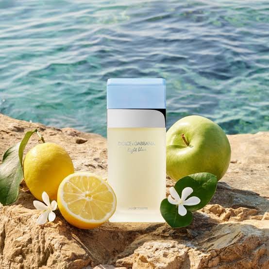 Dolce Gabbana Light Blue: Perfume Fresco e Icônico para o Verão